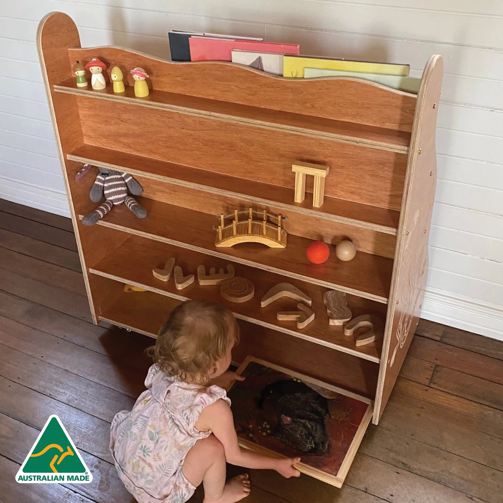 Indigenous Goanna Bookshelf — fifth alternative view