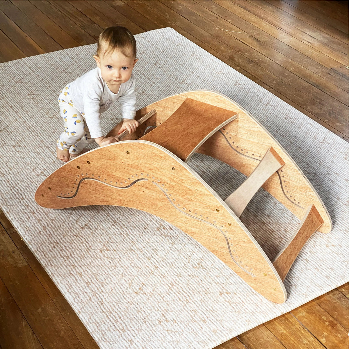 Boomerang Climber — additional view