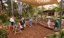 Bushland Playset