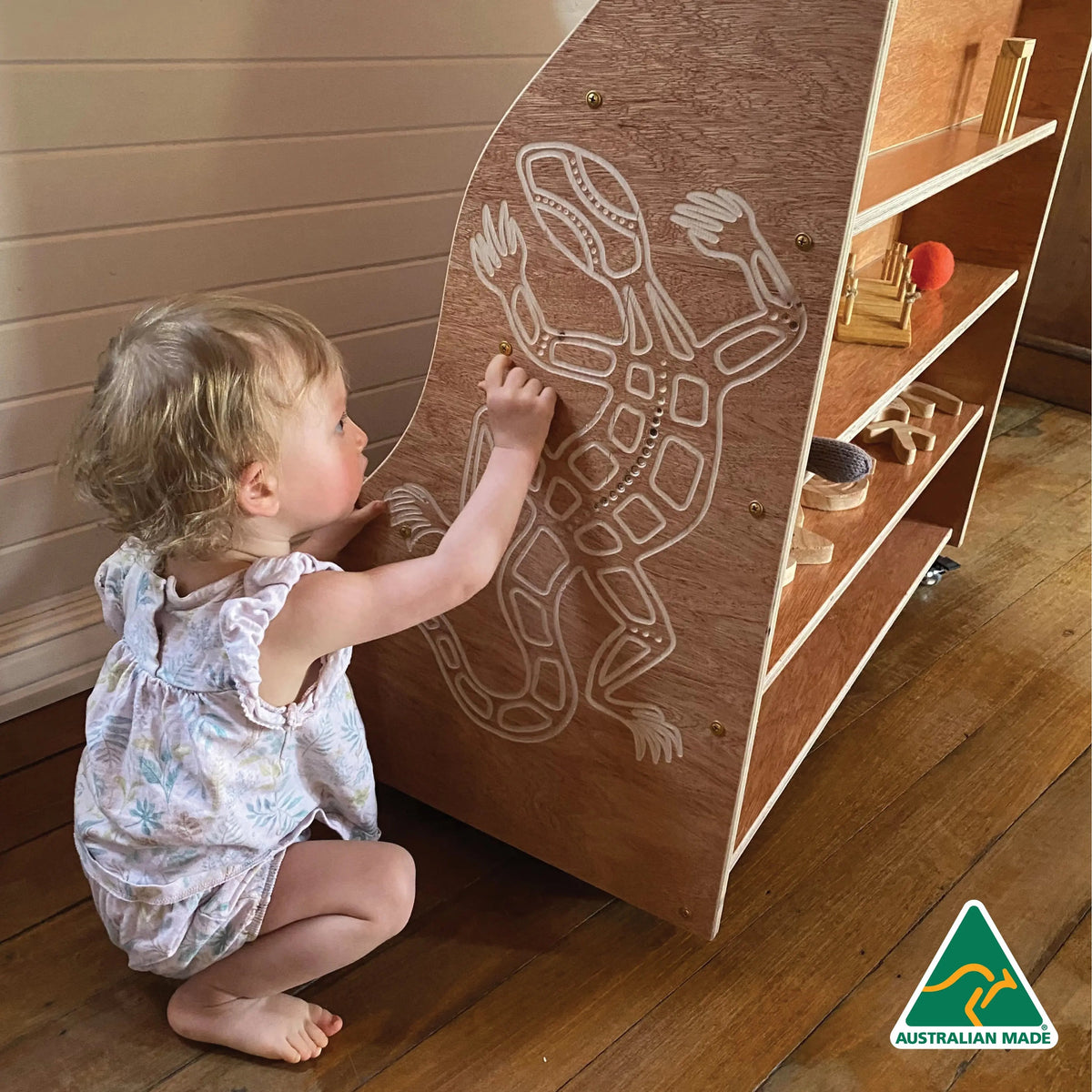 Indigenous Goanna Bookshelf — second alternative view